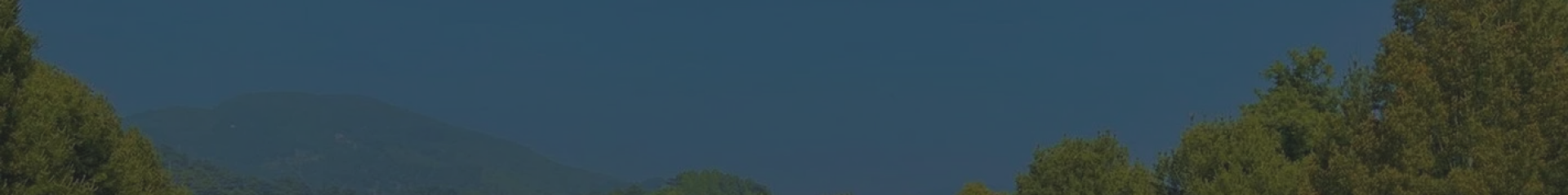 上海永福园陵顶部背景图