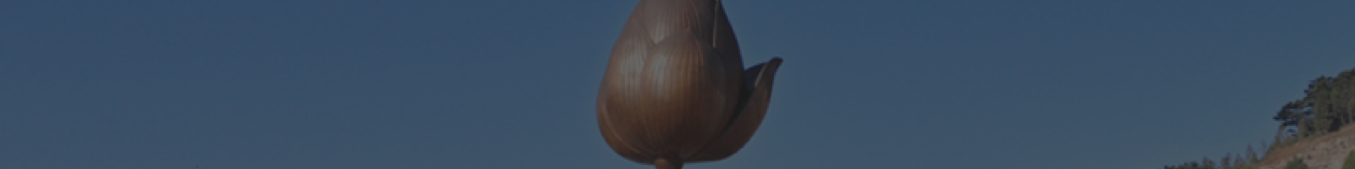 上海永福园陵顶部背景图